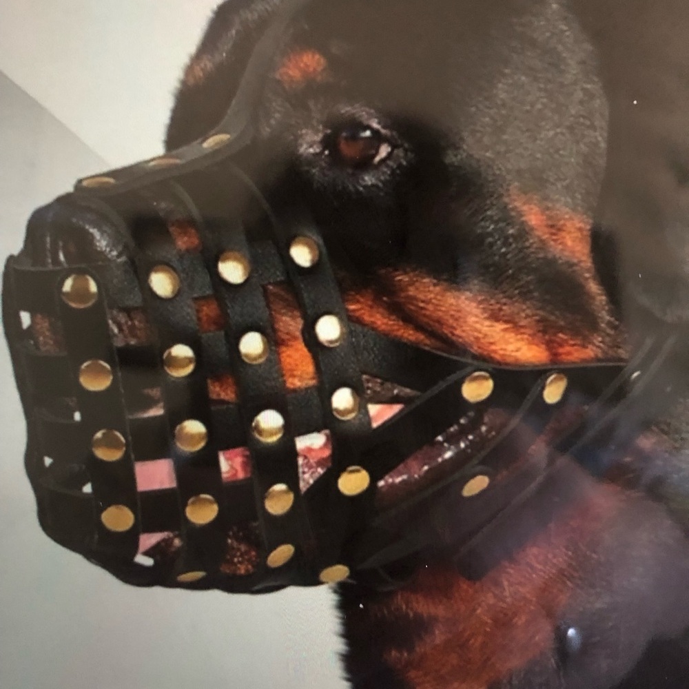 Black Leather Dog Basket Harness with Metal Studs- 998 $30 or $25 w/offer
